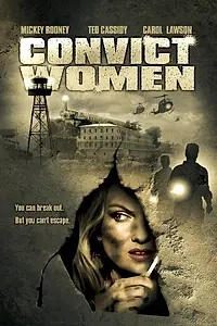 Главный постер фильма «Взрывоопасный округ (1974)»