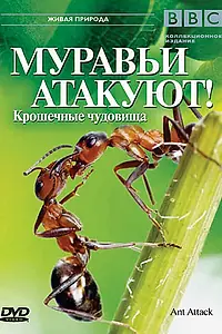 Главный постер фильма «BBC: Муравьи атакуют (2006)»