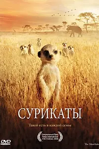 Постер к фильму «Сурикаты (2007)»