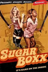 Главный постер фильма «Сахарный ящик с рейтингом X (2009)»