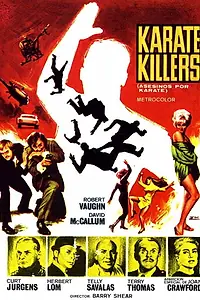Постер к фильму «Каратисты-убийцы (1967)»
