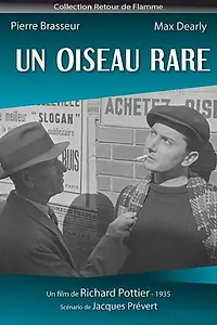 Постер к фильму «Редкая пташка (1935)»
