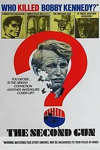 Постер к фильму «The Second Gun (1973)»