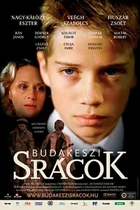 Постер к фильму «Будапештские пацаны (2006)»