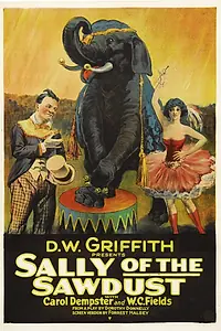 Постер к фильму «Салли из опилок (1925)»