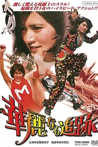 Главный постер фильма «Великолепная погоня (1975)»