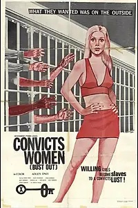 Главный постер фильма «Осуждённые женщины (1973)»