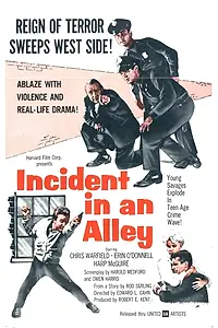 Главный постер фильма «Incident in an Alley (1962)»
