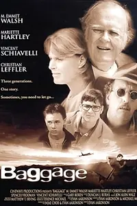 Постер к фильму «Багаж (2003)»