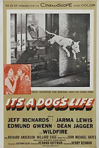 Главный постер фильма «It's a Dog's Life (1955)»