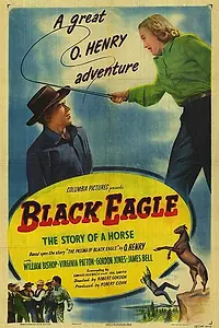 Постер к фильму «Black Eagle (1948)»