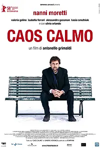 Главный постер фильма «Тихий хаос (2008)»