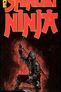 Постер к фильму «Чёрный ниндзя (1981)»