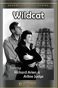 Постер к фильму «Wildcat (1942)»