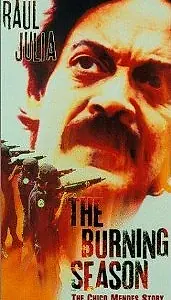 Постер к фильму «Огненный сезон (1994)»