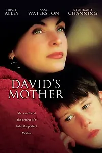 Постер к фильму «Мать Дэвида (1994)»