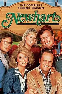 Постер к сериалу «Ньюхарт (1982 - 1990)»
