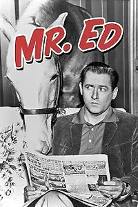 Постер к сериалу «Мистер Эд (1961 - 1966)»