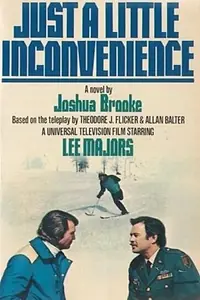 Главный постер фильма «Просто небольшое беспокойство (1977)»