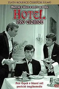 Постер к фильму «Отель для чужестранцев (1966)»