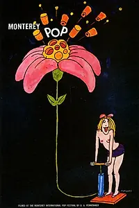 Постер к фильму «Монтерей-Поп (1968)»