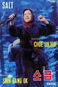 Постер к фильму «Соль (1985)»