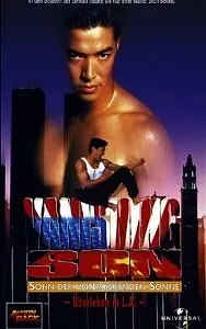 Постер к фильму «Исчезающий сын (1994)»