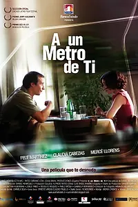 Постер к фильму «В метре от тебя (2009)»