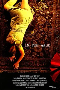 Постер к фильму «В стене (2007)»