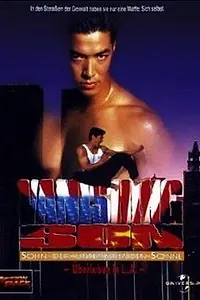 Постер к фильму «Исчезающий сын 4 (1994)»