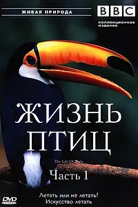 Постер к сериалу «BBC: Жизнь птиц (1998)»