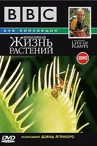 Постер к сериалу «BBC: Невидимая жизнь растений (1995)»