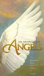 Постер к фильму «In Search of Angels (1994)»