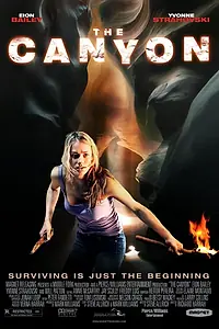 Постер к фильму «Каньон (2009)»