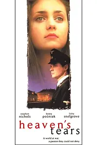 Постер к фильму «Слезы неба (1995)»