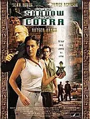 Постер к фильму «В тени кобры (2004)»