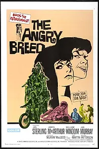 Главный постер фильма «Сердитое поколение (1968)»