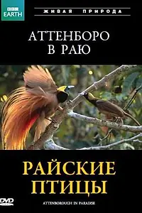 Главный постер фильма «BBC: Райские птицы (1996)»