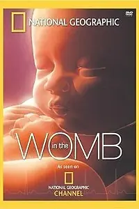Постер к фильму «Life Before Birth (2005)»