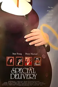 Главный постер фильма «Специальная доставка (1999)»