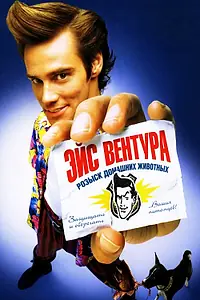 Постер к фильму «Эйс Вентура: Розыск домашних животных (1993)»
