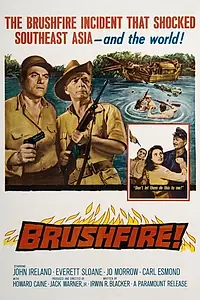 Главный постер фильма «Локальная война (1962)»