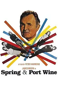 Главный постер фильма «Весна и портвейн (1970)»