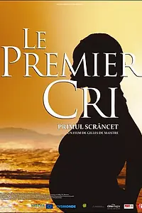 Постер к фильму «Первый плач (2007)»