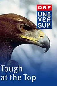Главный постер фильма «Tough at the Top (1998)»