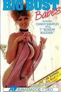 Постер к фильму «Big Bust Babes (1984)»