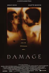 Постер к фильму «Ущерб (1992)»