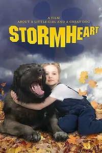 Постер к фильму «Тайфун (2008)»