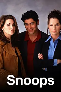 Постер к сериалу «Ищейки (1999)»