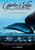 Главный постер фильма «Gigantes de Valdés (2008)»
